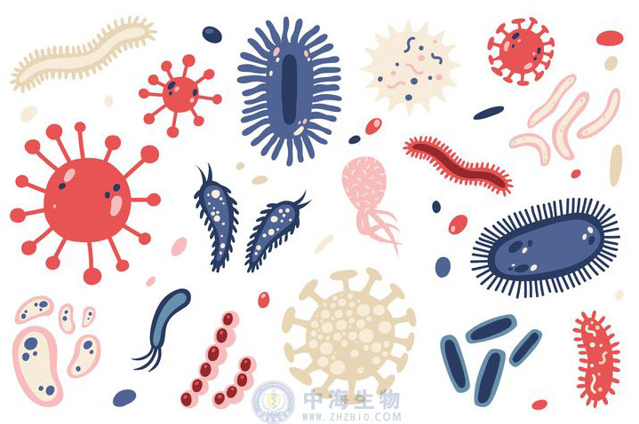 微生物是什么？哪些營(yíng)養(yǎng)物質(zhì)促進(jìn)微生物生長(zhǎng)繁殖？